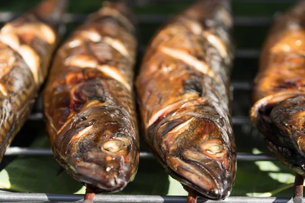 Gegrilde vis in de openlucht markt — Stockfoto