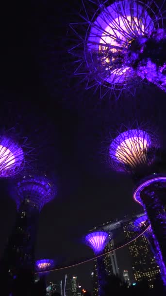 Spectacle nocturne Gardens by the Bay — Video