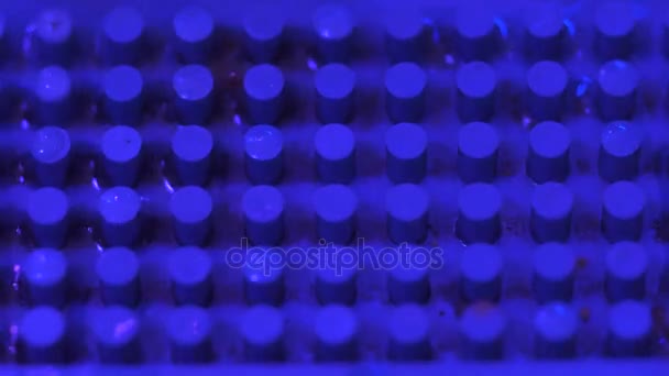 Fundo texturizado azul com luzes do clube — Vídeo de Stock