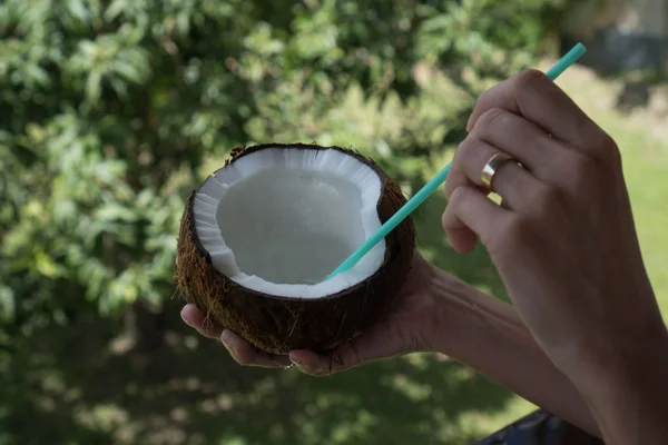 Рука женщины держит кокос на размытом фоне сада — стоковое фото