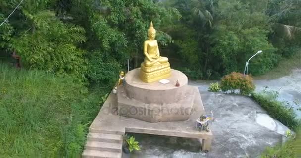 Χρυσό μικρό άγαλμα του Βούδα στο Πουκέτ — Αρχείο Βίντεο