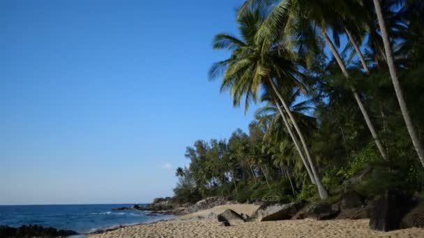 Tropischer Sandstrand Über Dem Meer Und Blauer Sommerhimmel Hintergrund Tropischer — Stockvideo