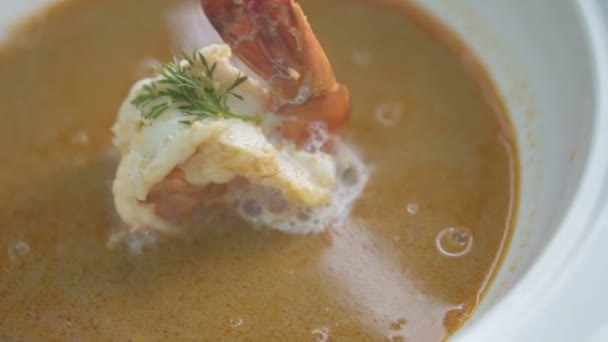 Closeup Hot Steaming Shrimp Soup Porcelain Bowl — Stock Video