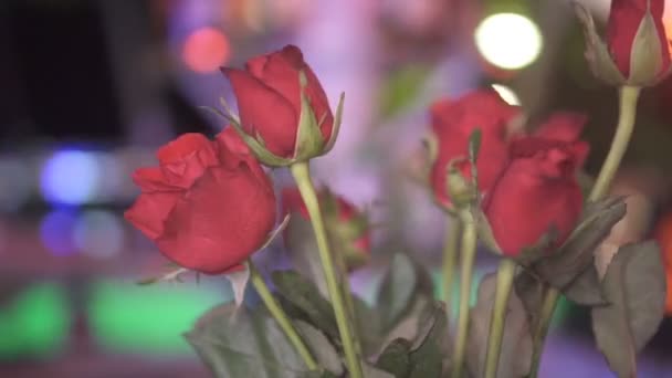 Primer Plano Rosas Rojas Sobre Fondo Borroso Restaurante Aire Libre — Vídeos de Stock