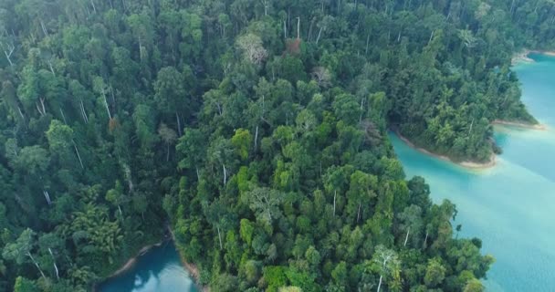 Aereo Drone Vista Dall Alto Bella Giungla Lago Nel Parco — Video Stock