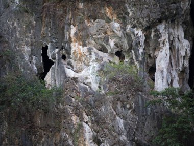 Kireçtaşı rock delikli closeup