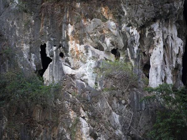 Primo Piano Roccia Calcarea Con Fori — Foto Stock