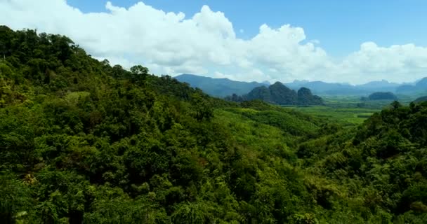 Vista Aérea Del Paisaje Tropical Verde Selva Tropical Tailandia Durante — Vídeos de Stock