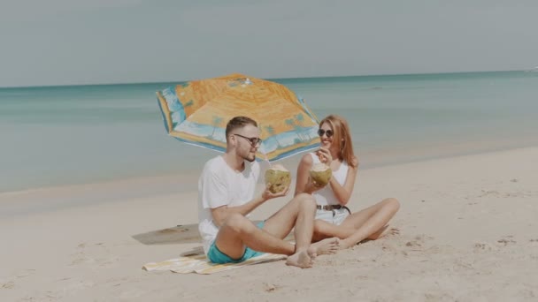 幸せな若いカップルは日当たりの良い夏の休暇中に熱帯のビーチでの飲酒のココナッツ ミルク — ストック動画