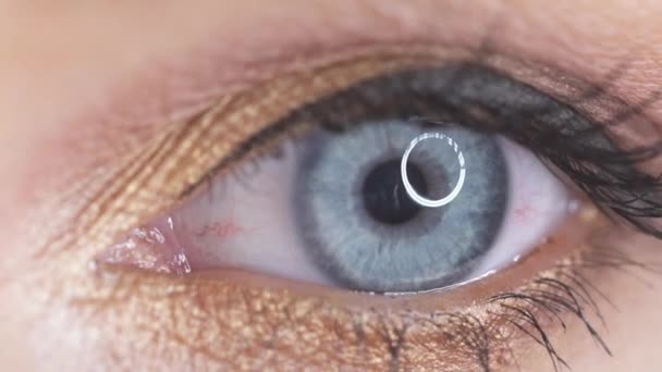 Closeup Eye Make Close Van Vrouwelijke Oog Make Sluiten Opening — Stockvideo