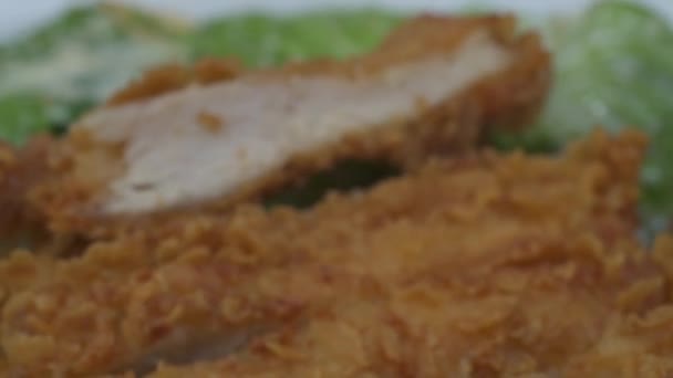 Closeup View Chicken Salad Closeup View Catted Breaded Chicken Salad — Stock Video