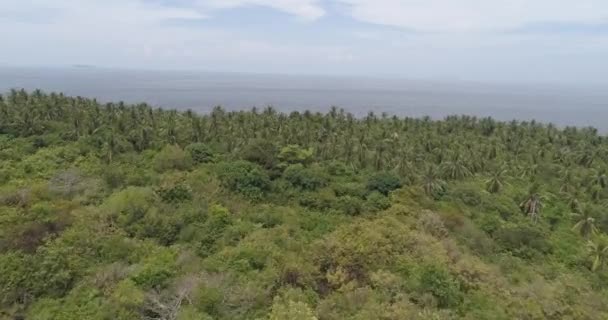 Vue Aérienne Des Palmiers Mer Ciel Vue Aérienne Par Drone — Video