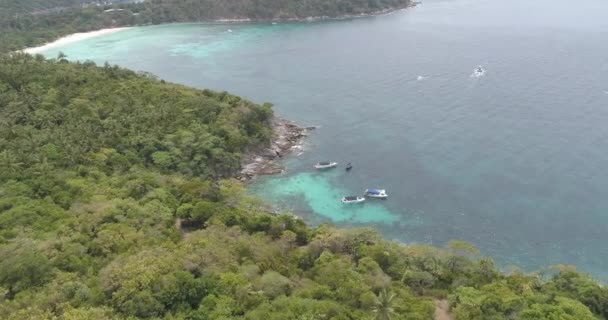 Vista Aérea Palmeiras Mar Com Barcos Vista Aérea Drone Paisagem — Vídeo de Stock
