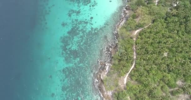 Vista Aérea Palmeras Mar Con Botes Vista Aérea Del Paisaje — Vídeos de Stock