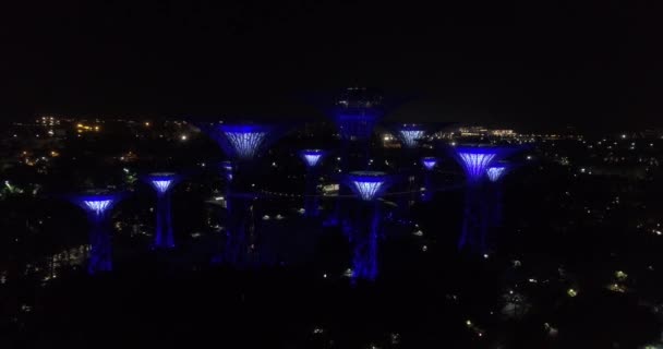 新加坡夜景 空中无人机鸟瞰 Supertree 格罗夫在园林的夜晚在海湾 新加坡 — 图库视频影像