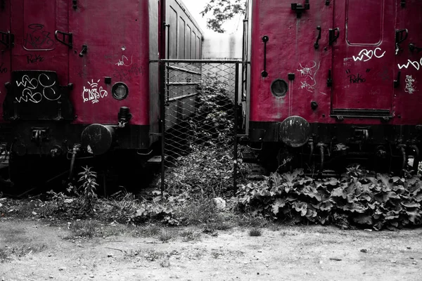 Покинутий Мічений Поїзд Старій Залізничній Станції — стокове фото