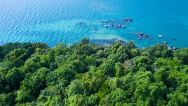 Turkuaz deniz suyu ve yeşil ağaçlarla kayalık sahilin hava aracı görüntüsü