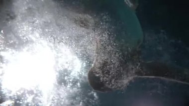 Suyun altında yüzen uzun kızıl saçlı güzel bir kadın. Ağır çekimde video.