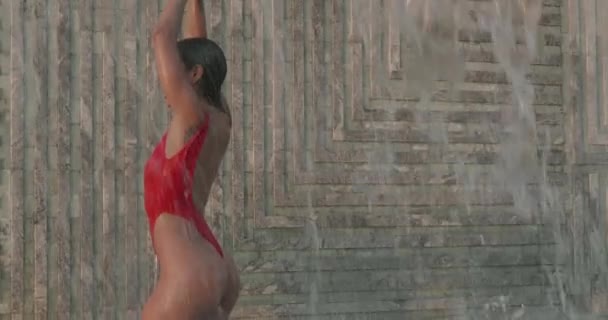Стоковые видео Красивая брюнетка - Скачать футажи Красивая брюнетка | Depositphotos