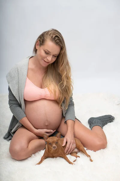 Feliz Mujer Embarazada Sentada Cama Relajándose Casa Con Perrito Lindo —  Fotos de Stock