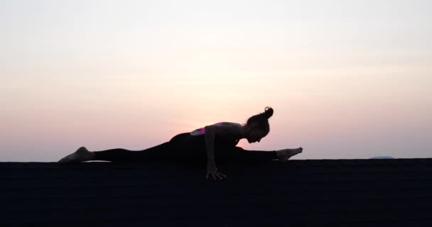 若いです女性のシルエットは夏の夜に日没の空の背景の上に屋根の上に分割 ビデオでスローモーション — ストック動画