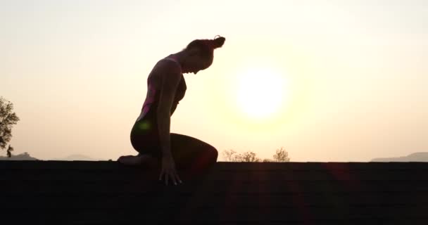 Silhouette Une Jeune Athlète Posant Sur Toit Sur Fond Ciel — Video