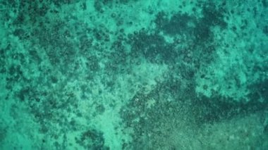 Tembel okyanusun en iyi drone görüntüsü 