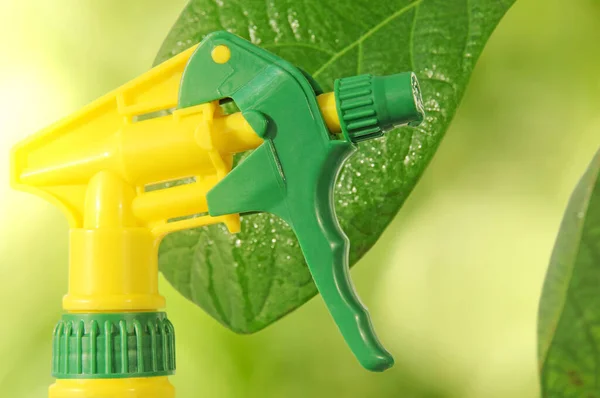 Conceito Cuidados Domésticos Garrafa Spray Folhas Verdes Fundo Planta Abacate — Fotografia de Stock