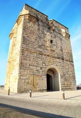 La Tour Carbonniere, Saint Laurent d 'Aigouze, Prs d' Aigues-Mortes. Fransa. 