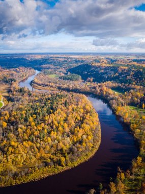 Orman solungaçları ve nehir Gauja
