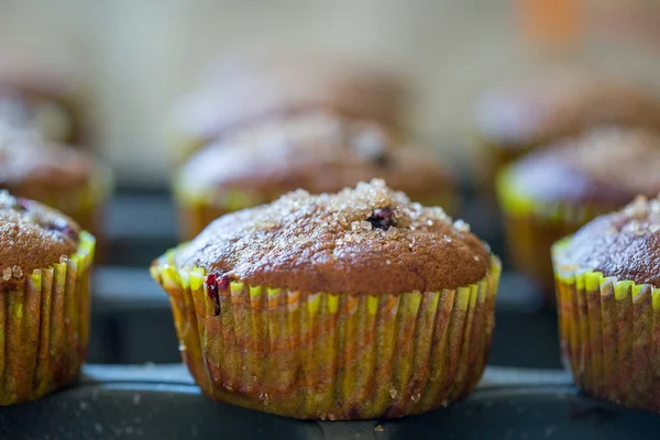 Muffins de banana com bagas e mel — Fotografia de Stock