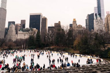 New York Central Park'ta Noel zamanı