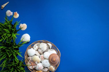 Farklı deniz öğeleri