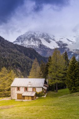 Güzel Doğa Manzarası