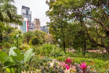 Güzel Doğa Manzarası