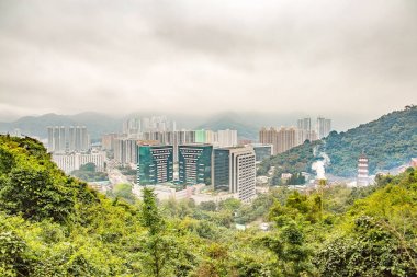 Kentsel gökdelenler ve yeşil bitkiler