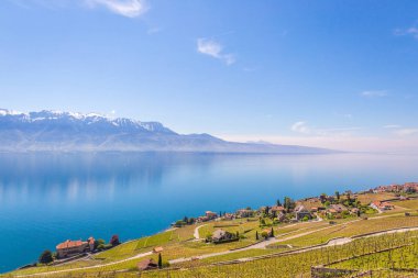 Güzel doğa arkaplanı