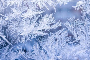 Güzel doğa arkaplanı