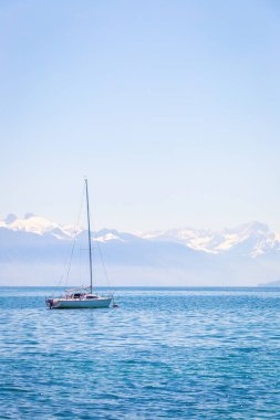 taxt kopyalama yeri olan güzel doğa arka plan