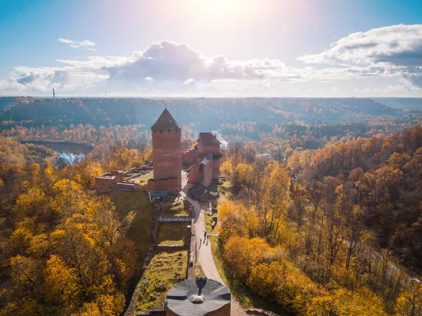 Зябра лісом та річкою Гауя — стокове фото