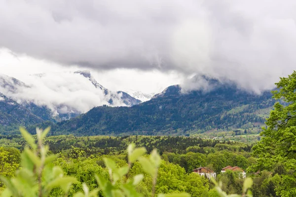 Schöner Naturhintergrund Mit Kopierplatz Für Taxt — Stockfoto