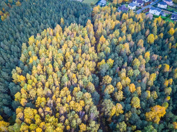 Krásná přírodní krajina — Stock fotografie