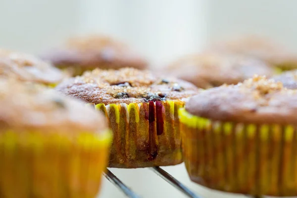 Muffins de banana com bagas e mel — Fotografia de Stock