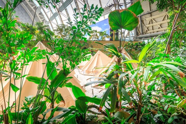 Güzel doğa arkaplanı