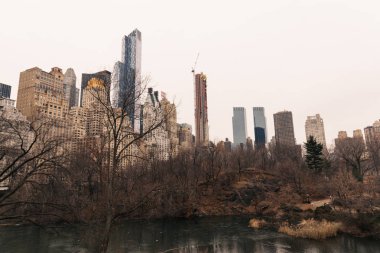 New York 'taki Central Park