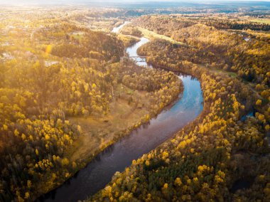 Orman ve nehir güzel doğa arka plan