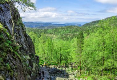 Güzel Doğa Manzarası
