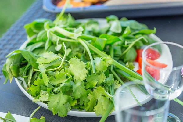 Frisse heerlijke salade — Stockfoto