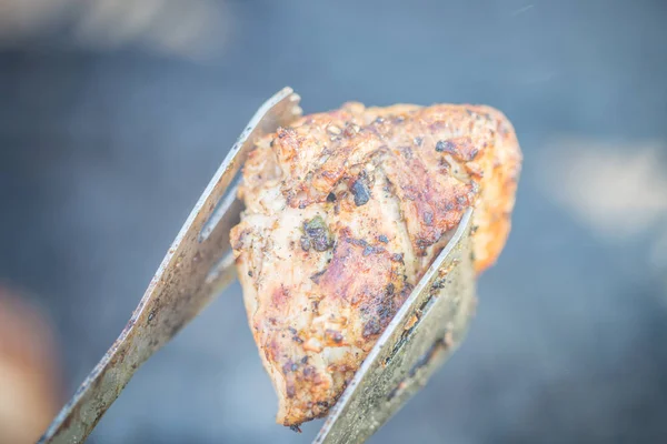Grilled Steak in Garden — Stock Photo, Image