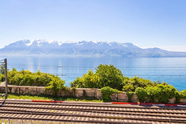 Schöne Natur Hintergrund — Stockfoto